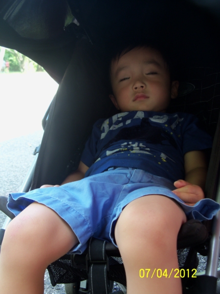 100_0695 [800x600].JPG